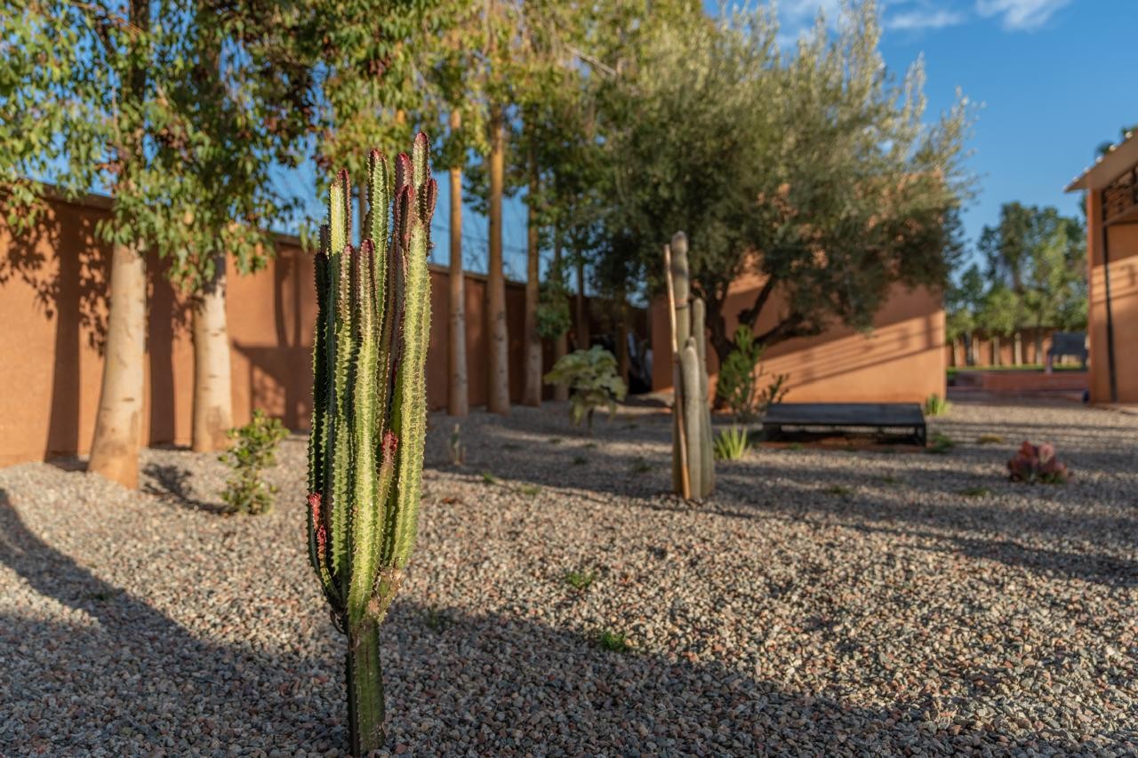 louer villa de luxe à Marrakech