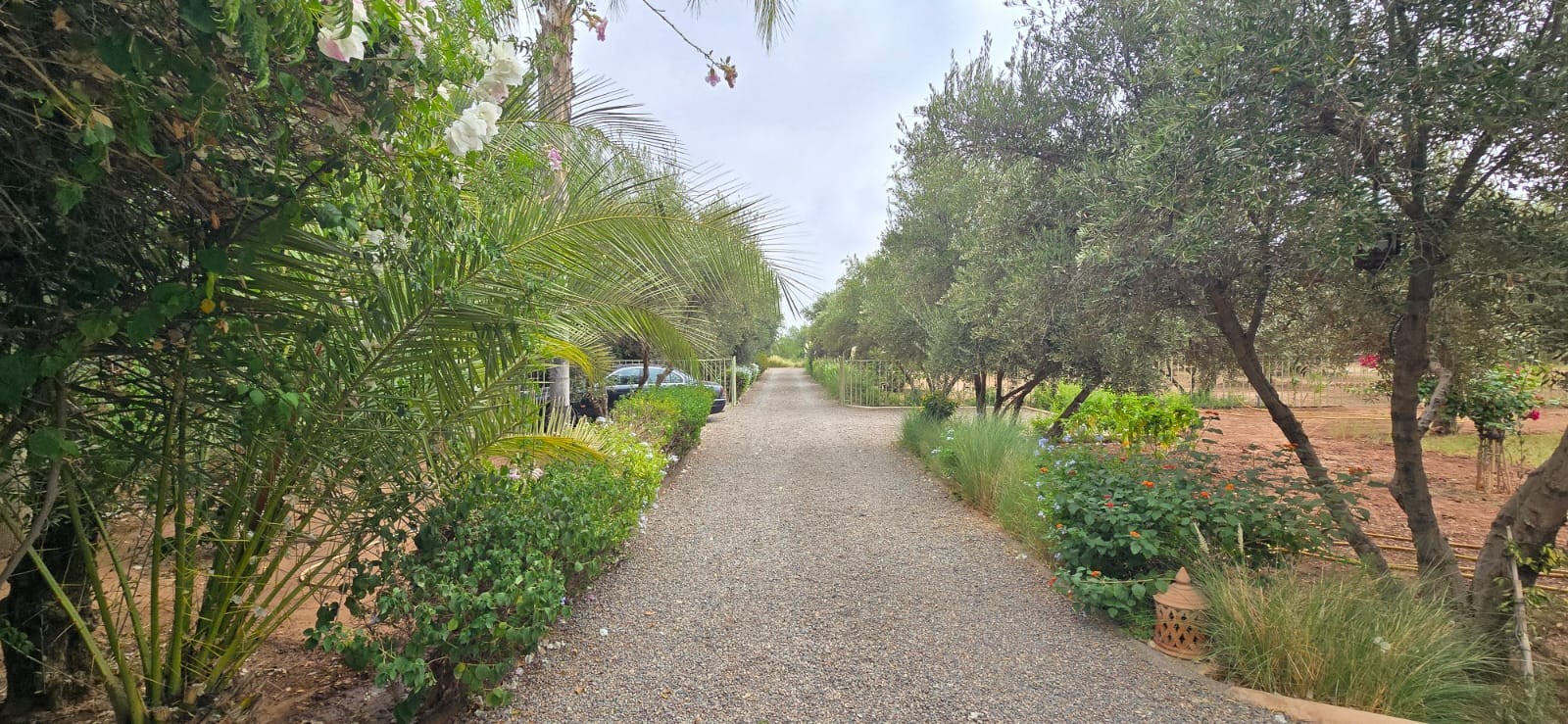 louer villa de luxe à Marrakech