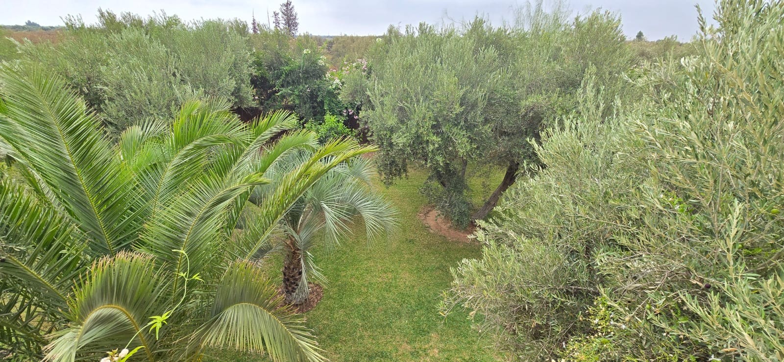 Villa, Route de l'Ourika