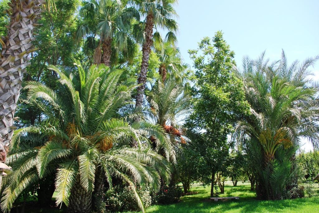 louer villa de luxe à Marrakech